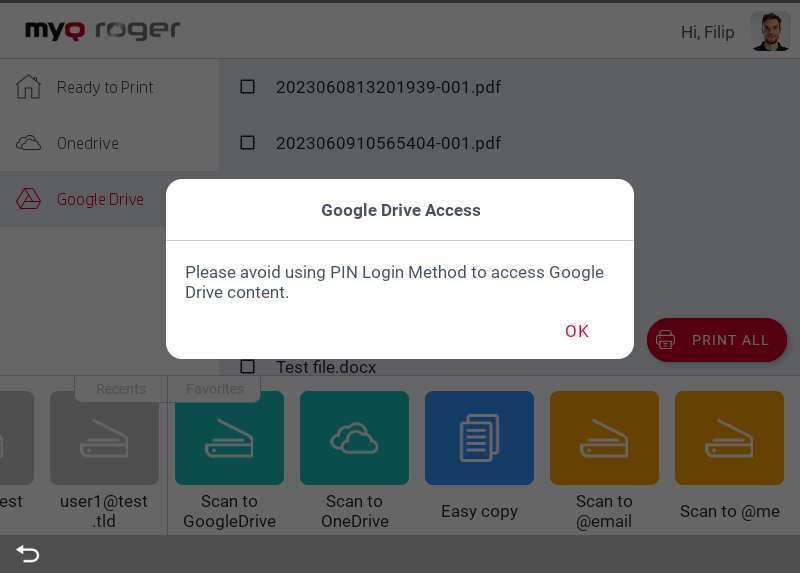 Google Drive access